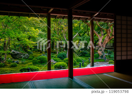 【京都風景】圓光寺　静寂さに包まれた絶景の庭 119053798