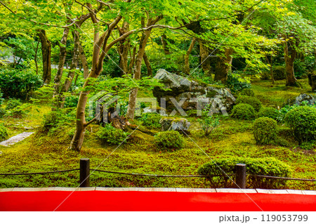 【京都風景】圓光寺 静寂さに包まれた絶景の庭 【京都風景】圓光寺 静寂さに包まれた絶景の庭 119053799