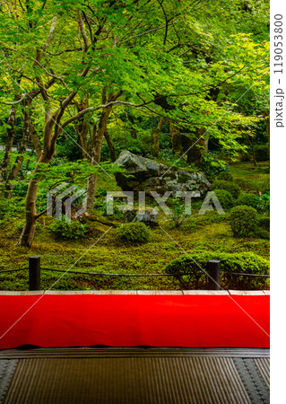 【京都風景】圓光寺　静寂さに包まれた絶景の庭 119053800