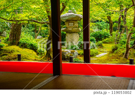 【京都風景】圓光寺　静寂さに包まれた絶景の庭 119053802