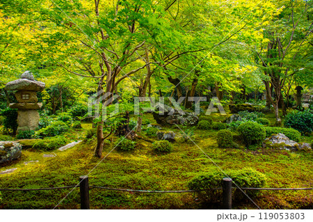 【京都風景】圓光寺　静寂さに包まれた絶景の庭 119053803