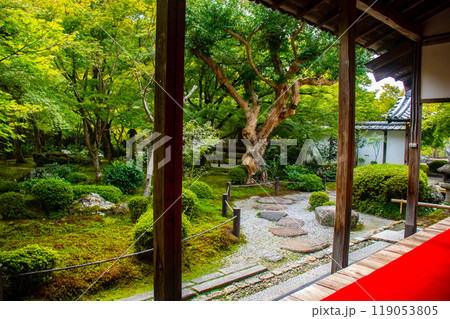 【京都風景】圓光寺　静寂さに包まれた絶景の庭 119053805