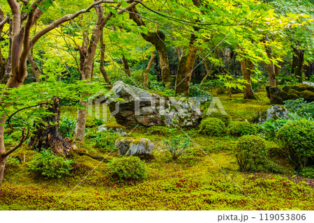 【京都風景】圓光寺　静寂さに包まれた絶景の庭 119053806