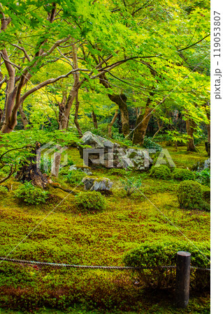 【京都風景】圓光寺 静寂さに包まれた絶景の庭 【京都風景】圓光寺 静寂さに包まれた絶景の庭 119053807