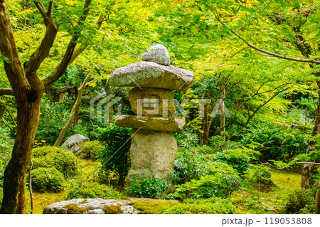 【京都風景】圓光寺　静寂さに包まれた絶景の庭 119053808