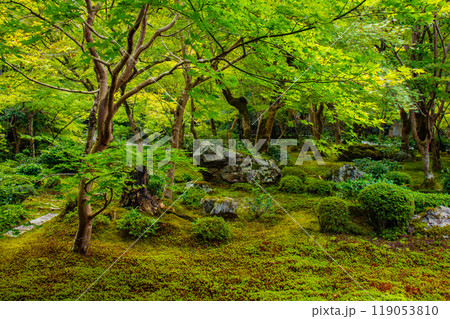 【京都風景】圓光寺 静寂さに包まれた絶景の庭 【京都風景】圓光寺 静寂さに包まれた絶景の庭 119053810