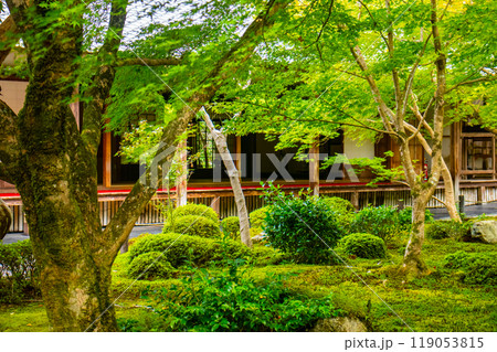 【京都風景】圓光寺 静寂さに包まれた絶景の庭 【京都風景】圓光寺 静寂さに包まれた絶景の庭 119053815