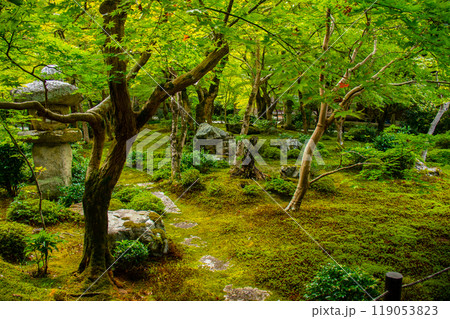 【京都風景】圓光寺 静寂さに包まれた絶景の庭 【京都風景】圓光寺 静寂さに包まれた絶景の庭 119053823