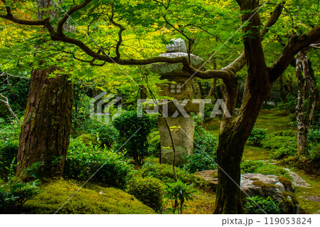 【京都風景】圓光寺　静寂さに包まれた絶景の庭 119053824