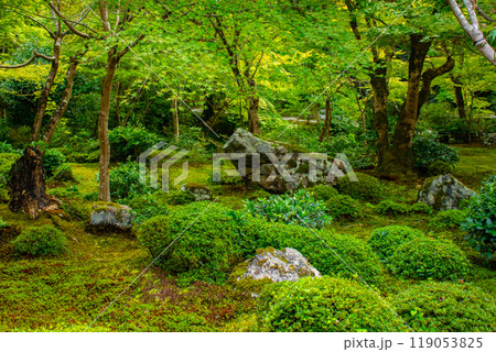 【京都風景】圓光寺　静寂さに包まれた絶景の庭 119053825