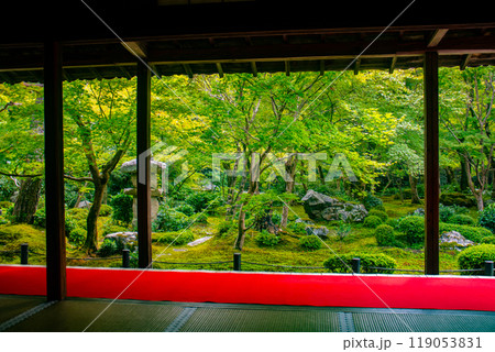 【京都風景】圓光寺　静寂さに包まれた絶景の庭 119053831