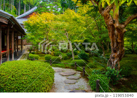 【京都風景】圓光寺　静寂さに包まれた絶景の庭 119053840