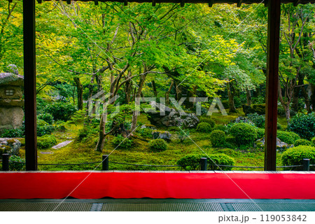 【京都風景】圓光寺　静寂さに包まれた絶景の庭 119053842