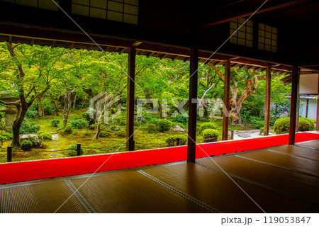 【京都風景】圓光寺　静寂さに包まれた絶景の庭 119053847
