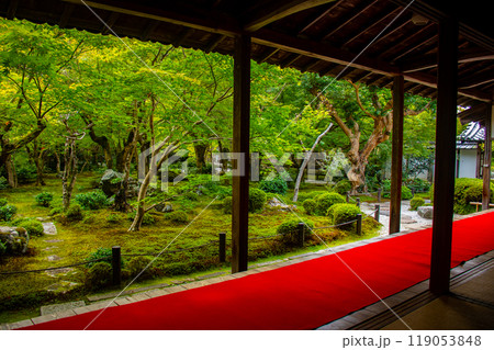 【京都風景】圓光寺 静寂さに包まれた絶景の庭 【京都風景】圓光寺 静寂さに包まれた絶景の庭 119053848