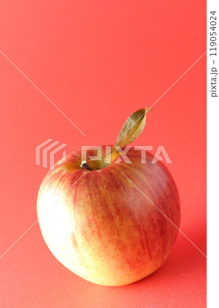 葉付き林檎の単品撮影 葉付き林檎の単品撮影 119054024