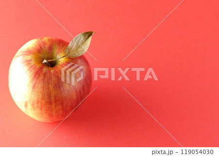 葉付き林檎の単品撮影 葉付き林檎の単品撮影 119054030