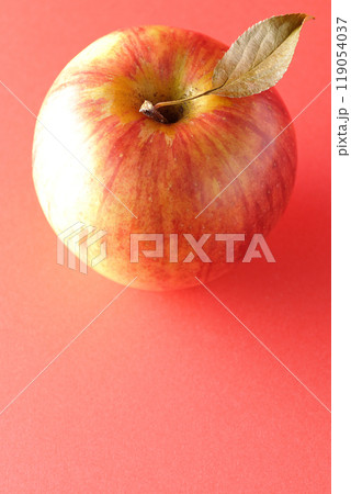 葉付き林檎の単品撮影 葉付き林檎の単品撮影 119054037