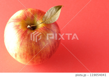 葉付き林檎の単品撮影 119054041