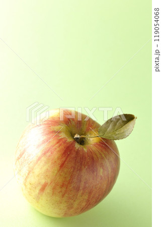 葉付き林檎の単品撮影 葉付き林檎の単品撮影 119054068