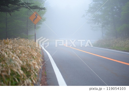 霧の中・カーブ標識・森林道路 119054103