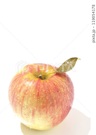 葉とらず林檎を白背景で撮影 葉とらず林檎を白背景で撮影 119054178