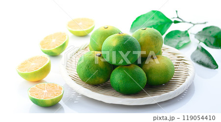 みかん （ 早生みかん ）白背景 119054410