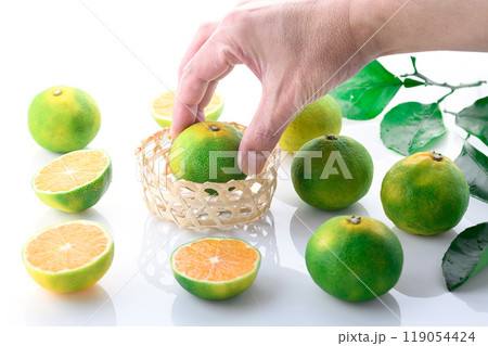 みかん ( 早生みかん )白背景 みかん ( 早生みかん )白背景 119054424