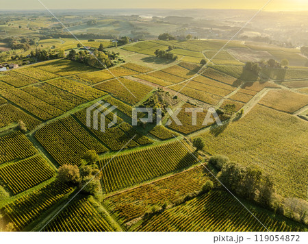 Aerial view, Bordeaux vineyard, landscape vineyard south west of france, Sainte-Croix-du-Mont 119054872
