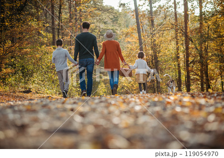 Young family with two kids and dog on a walk in autumn forest. Rear view, walking and holding hands. Young family with two kids and dog on a walk in autumn forest. Rear view, walking and holding hands. 119054970