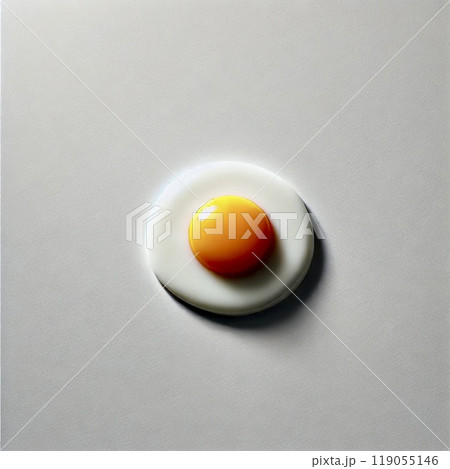 上から見た卵焼き 119055146