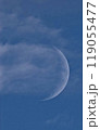 月 119055477