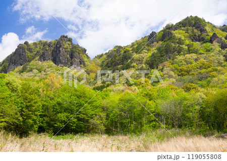 新緑の霊山 119055808