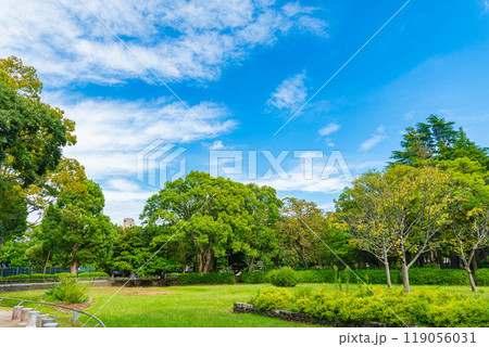 松戸中央公園の芝生と樹木 119056031