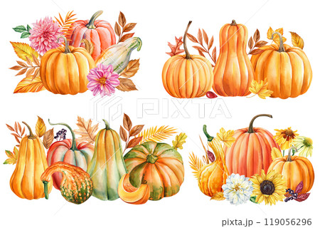 collection pumpkins vegetable , flower, leaves isolated background, watercolor painting illustration, Festive decoration 119056296