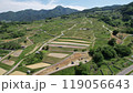 信州姨捨の棚田 119056643