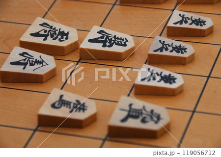 将棋の対局 119056712
