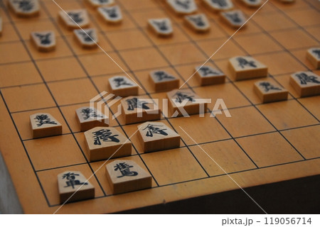 将棋の対局 119056714