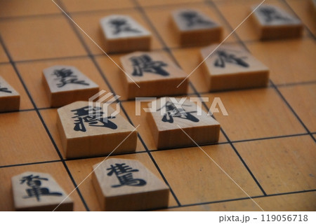 将棋の対局 将棋の対局 119056718
