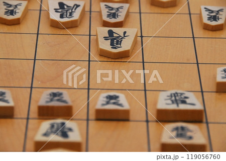 将棋の対局 将棋の対局 119056760