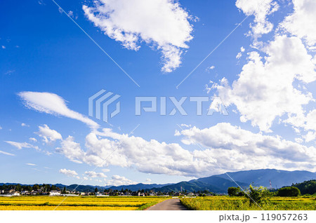 秋の稲刈り前の自然風景 松本市 秋の稲刈り前の自然風景 松本市 119057263