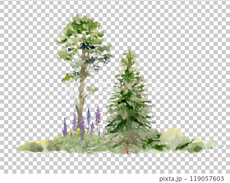 Scenery landscape of forest meadow with bushes, lupin flowers, pine fir spruce tree in lush grass, hand drawn in watercolor. Illustration for tourism maps, resort ads, hiking camping sites vacation. Scenery landscape of forest meadow with bushes, lupin flowers, pine fir spruce tree in lush grass, hand drawn in watercolor. Illustration for tourism maps, resort ads, hiking camping sites vacation. 119057603