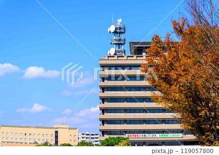 秋晴れに映えるイチョウ観光スポット「熊本県庁プロムナード（イチョウ並木）」熊本市 119057800