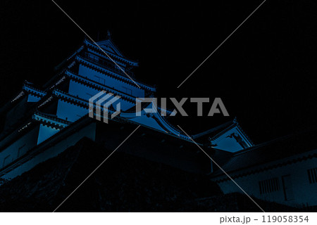 夜空に聳える城~鶴ヶ城~ 夜空に聳える城~鶴ヶ城~ 119058354