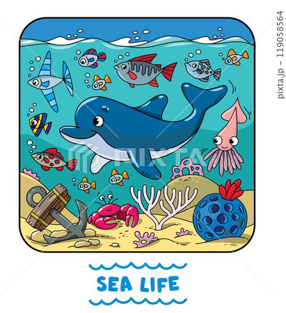 Sea theme. Dolphin and sea animals. Kids vector 119058564