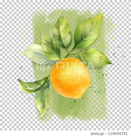 Lemon with leaves. Hand drawn illustration. 119058781