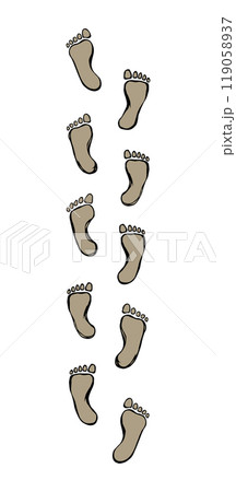 Foot. Vector drawing 119058937