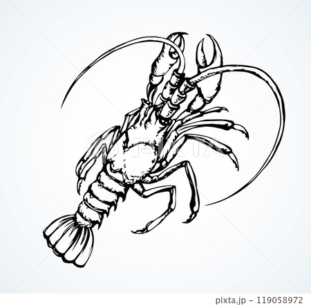 Lobster. Vector drawing 119058972