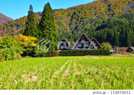 秋　白川郷　 119059031