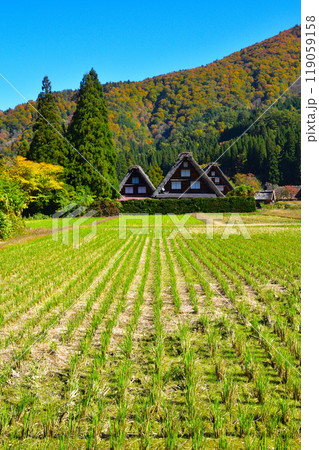 秋 白川郷 秋 白川郷 119059158